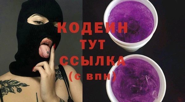 индика Горняк