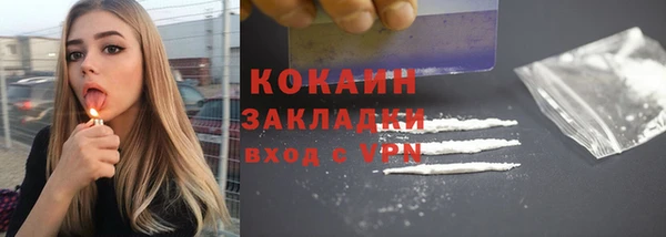 индика Горняк