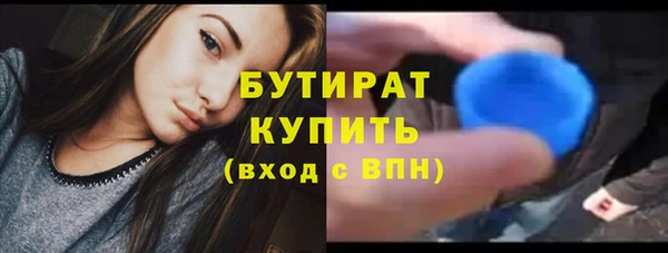 индика Горняк