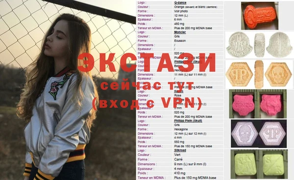 индика Горняк