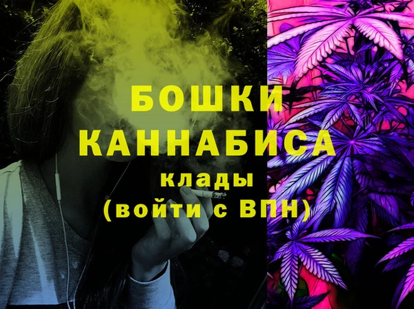 индика Горняк