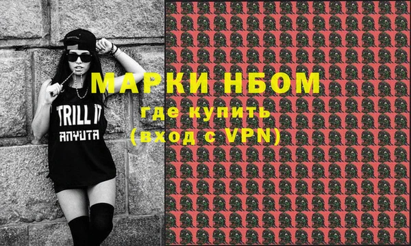 индика Горняк