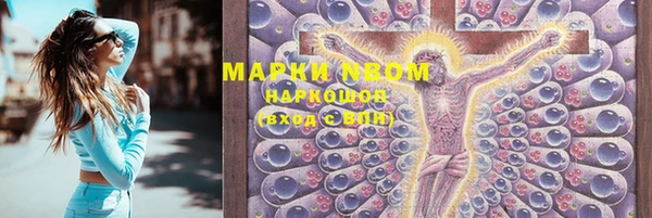индика Горняк