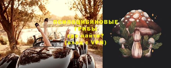индика Горняк