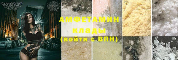 индика Горняк