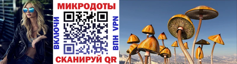 Купить  Крымск  Псилоцибиновые грибы MAGIC MUSHROOMS 